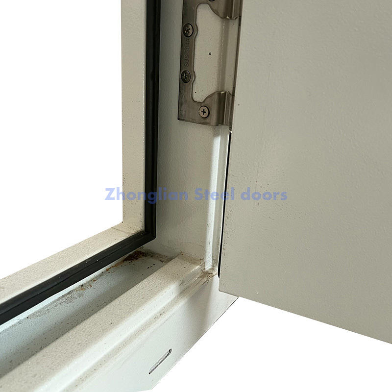 Steel Cleanroom Door