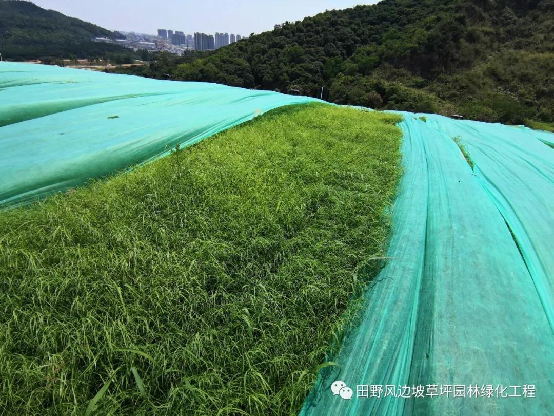 港澳免费资科大全