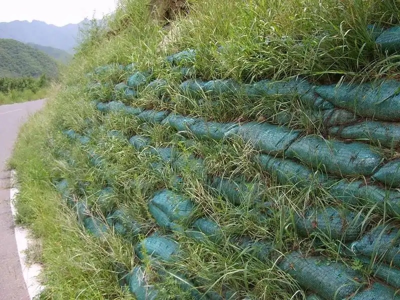 港澳免费资科大全