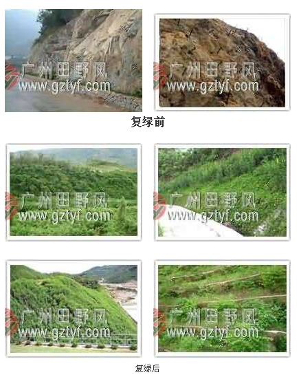 广州南沙虎门采石场复绿工程