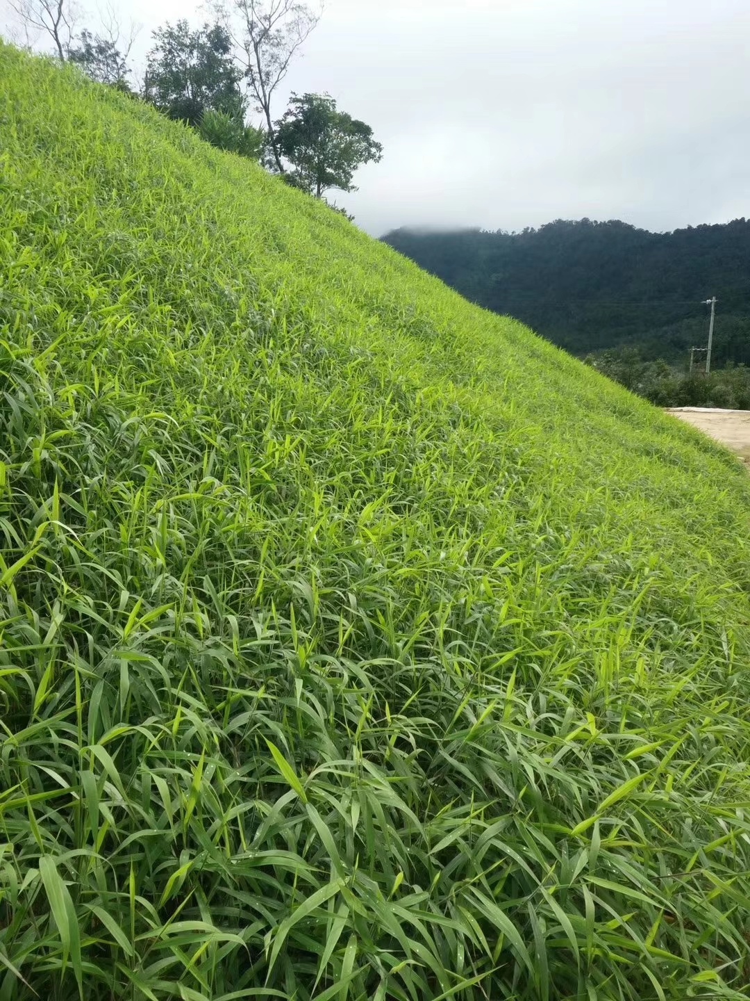 港澳免费资科大全