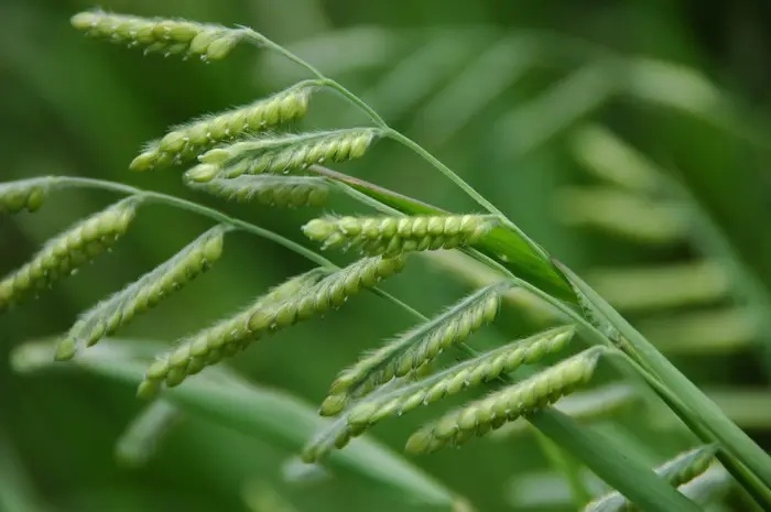 港澳免费资科大全