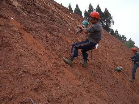 莞深高速公路边坡绿化工程案例