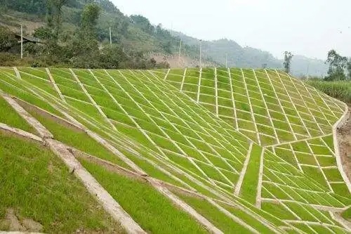 骨架植草护坡图片