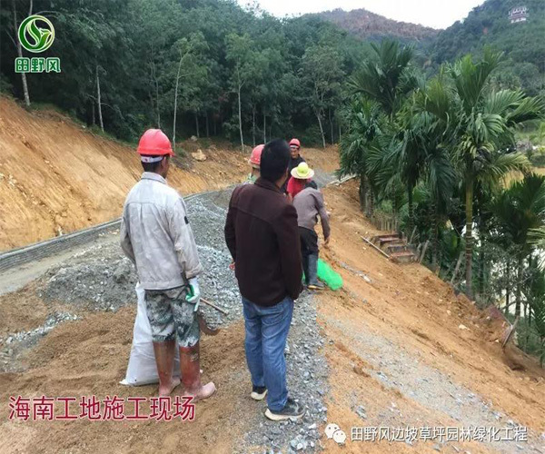 海南神玉岛旅游度假区工程案例