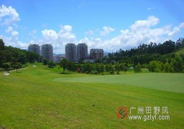 广州九龙湖高尔夫球场植草工程