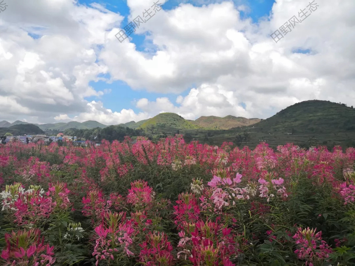 广西北流铜石岭