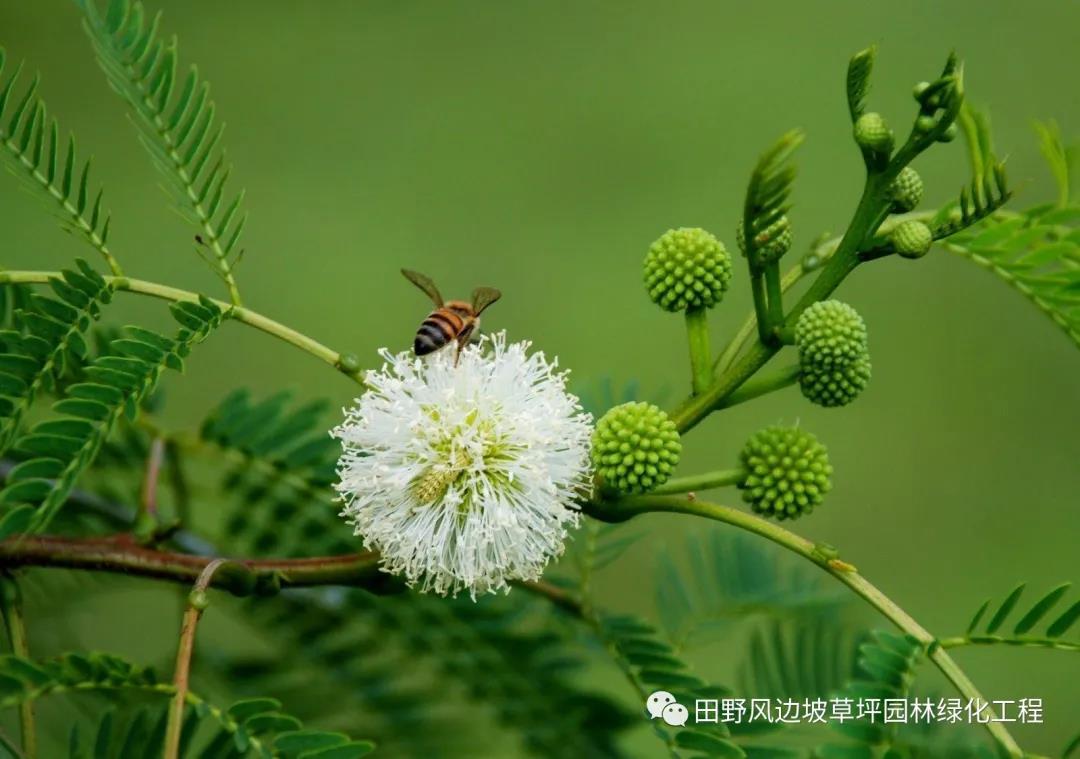 港澳免费资科大全