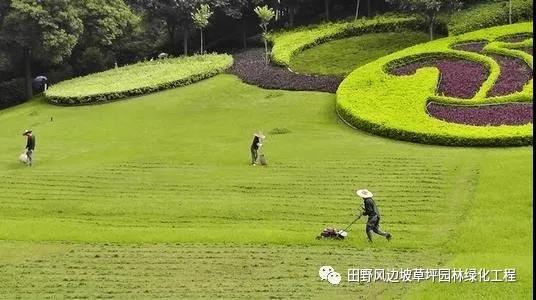 港澳免费资科大全