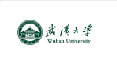 武漢大學(xué)