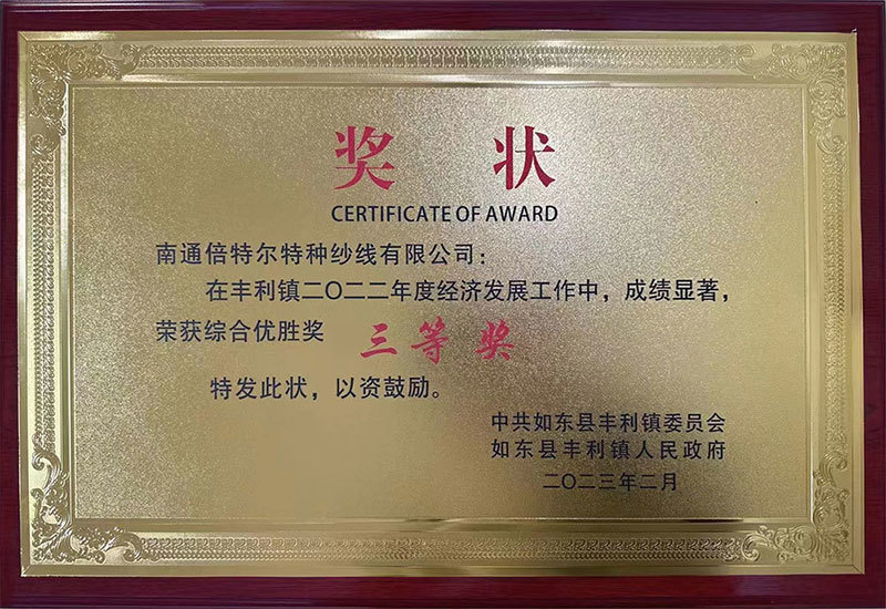 Third prize of Fengli Town Comprehensive Excellence Award