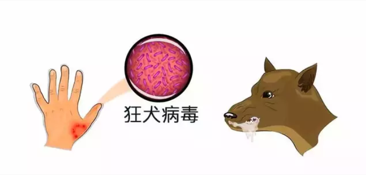 Disease