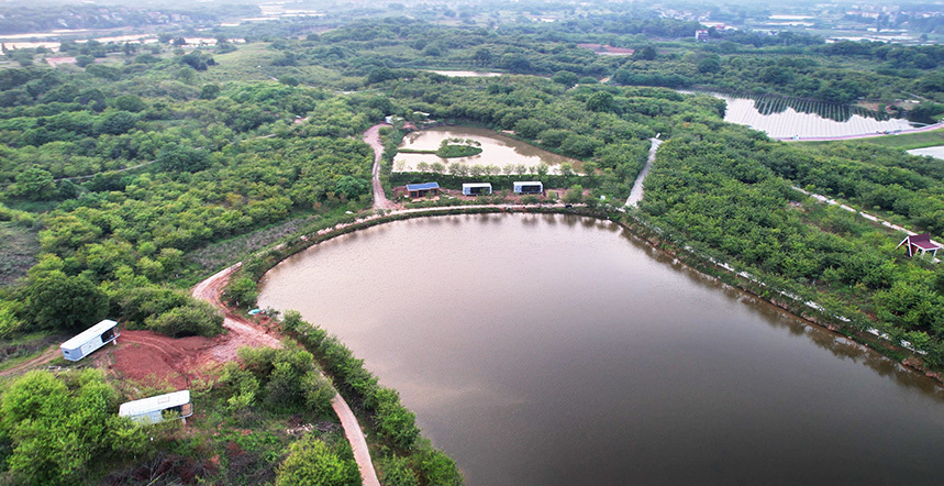 Jinhua Jinhua