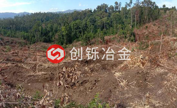 創鑠冶金