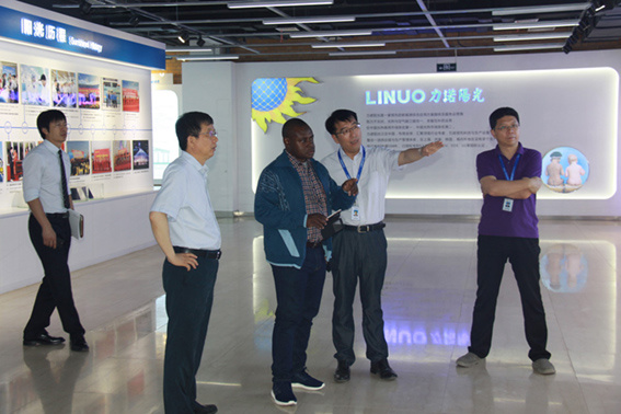 Der Handelsberater der Republik Mali in China besuchte Linuo Sunshine Industry