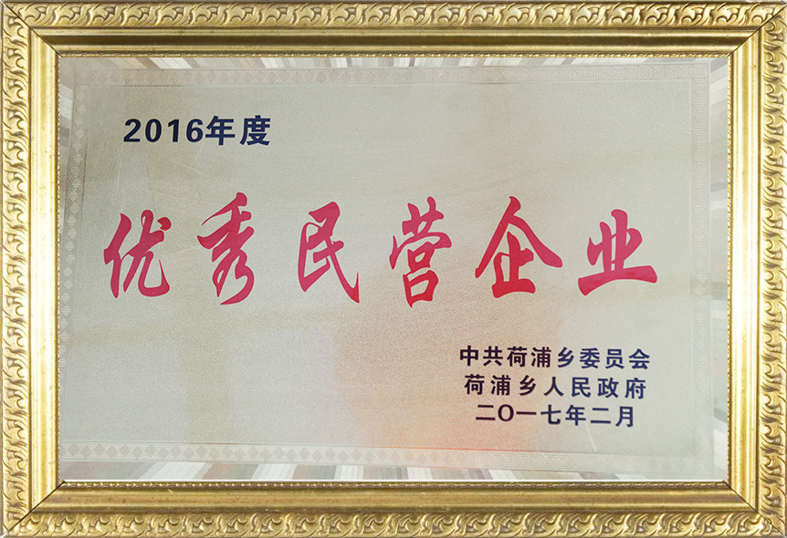 優(yōu)秀民營(yíng)企業(yè)