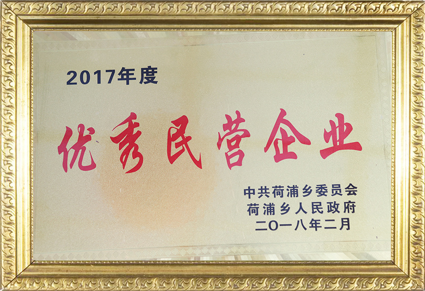 優(yōu)秀民營(yíng)企業(yè)