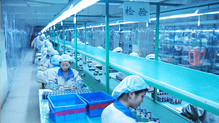 公司展示 公司展示