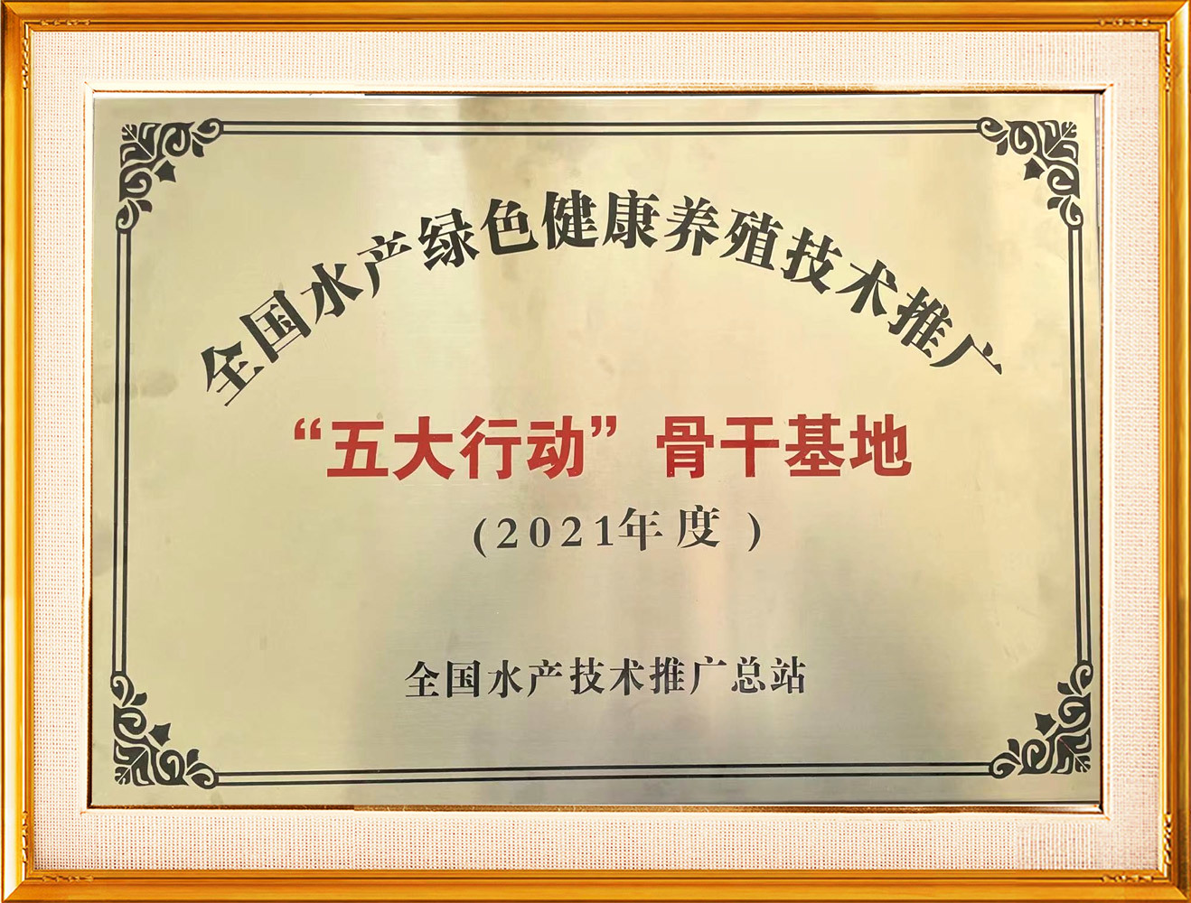 五大行动骨干基地