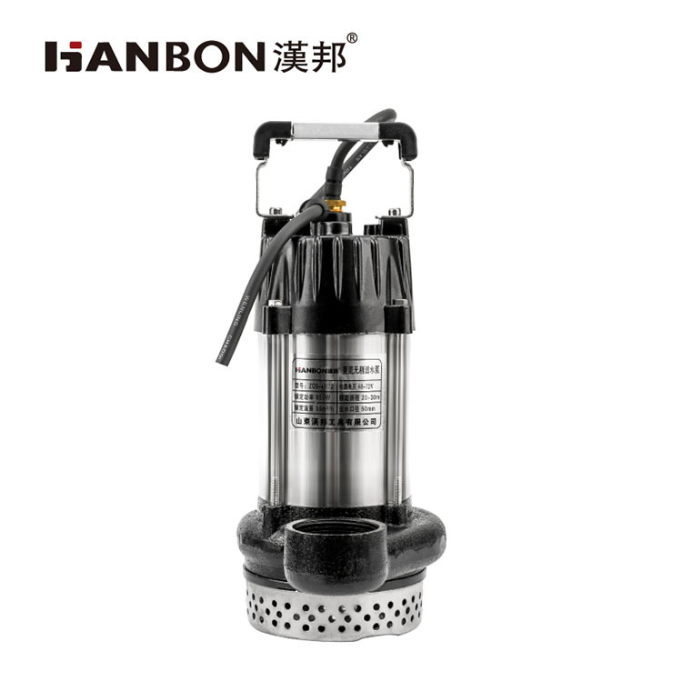 Brushless DC submersible pump