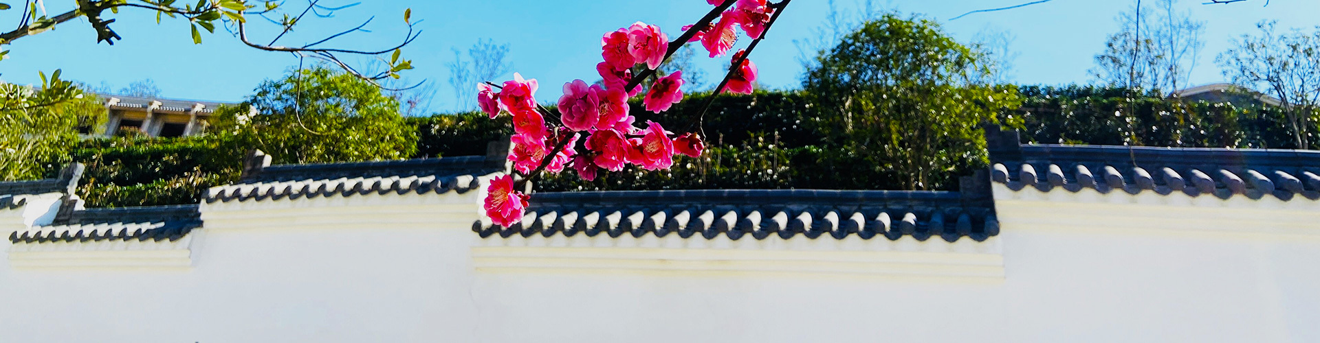 杭州墓地价格