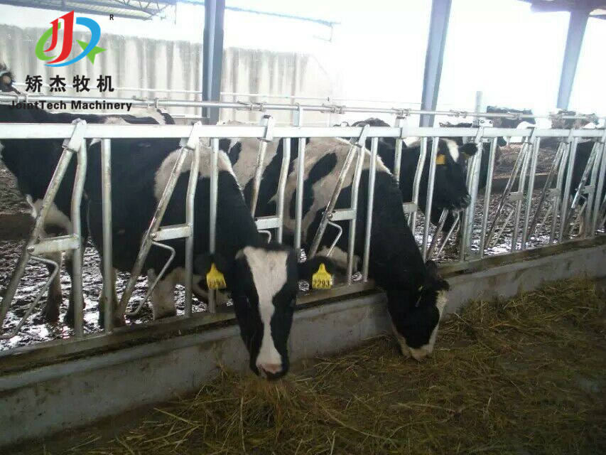 点击浏览大图 点击浏览大图