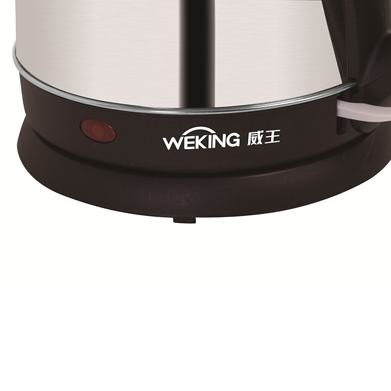 WS-1000