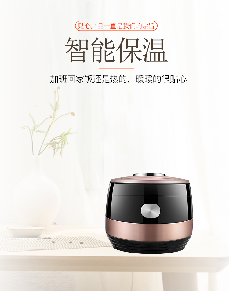 VK-H406 H506(金色)