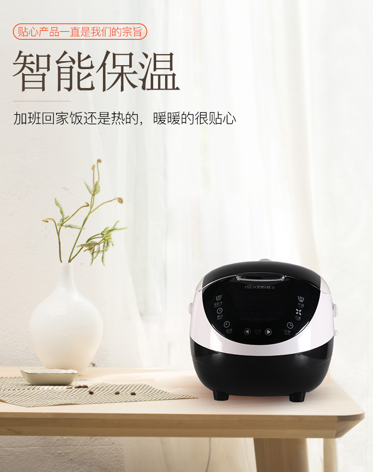 威王智能方煲WFB-0516