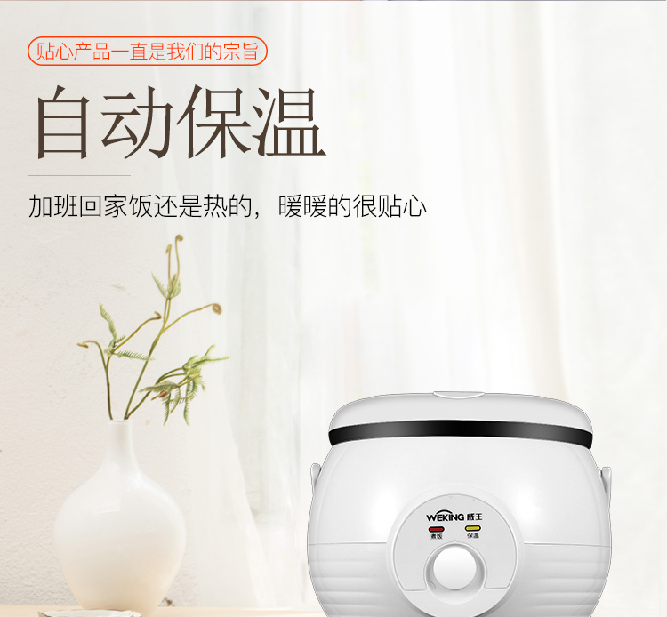 威王QQ煲WXA-0203