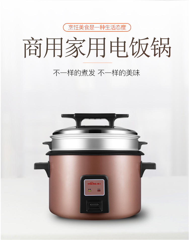 威王连体锅WZA-1001