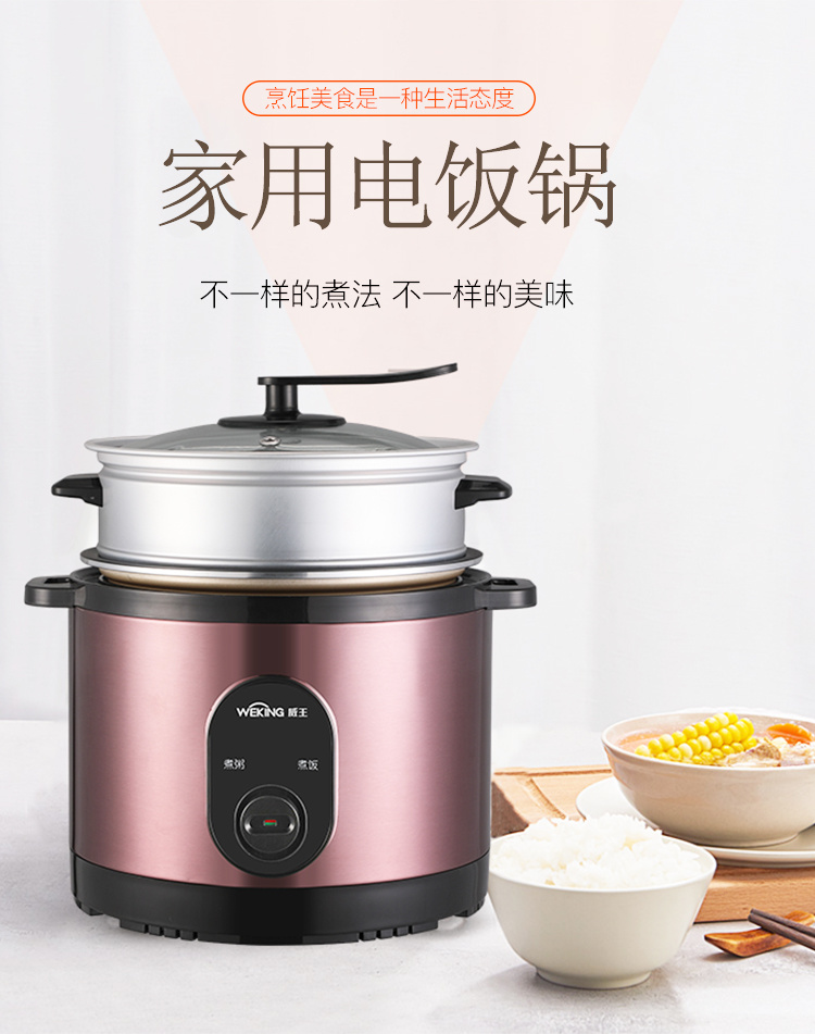 威王直身煲WZD-0308