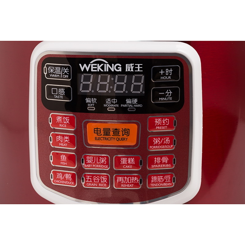 WYB-0601