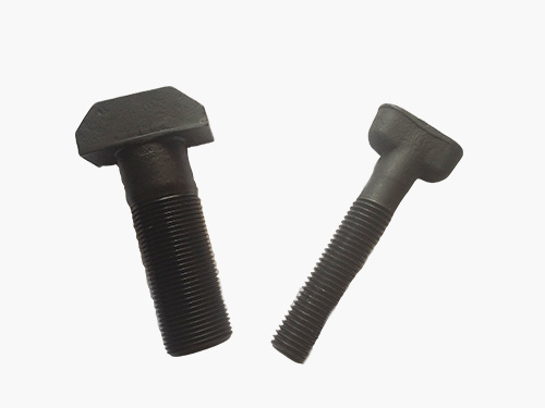 Special T bolt