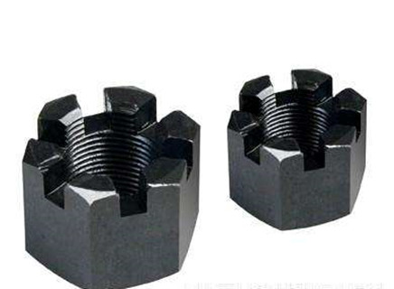 hexagon slotted nut