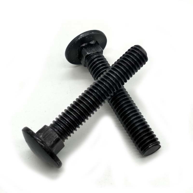 Carriage bolts Carriage bolts