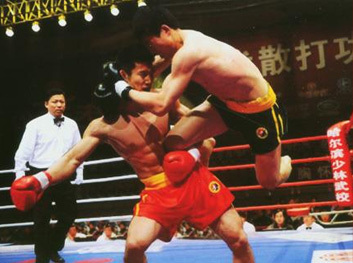 freestyle grappling