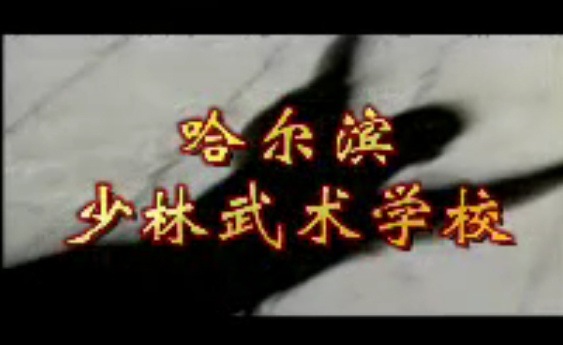 少林武校视频