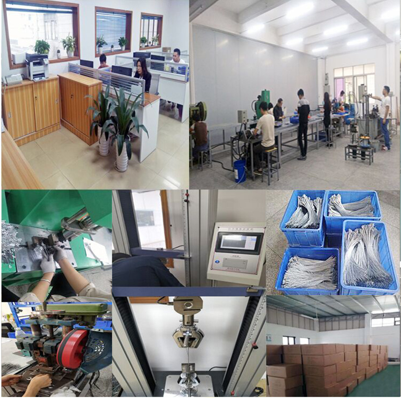Company Plant