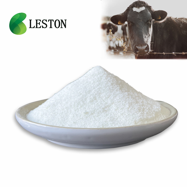 bone bovine collagen raw protein Collagen Type 1