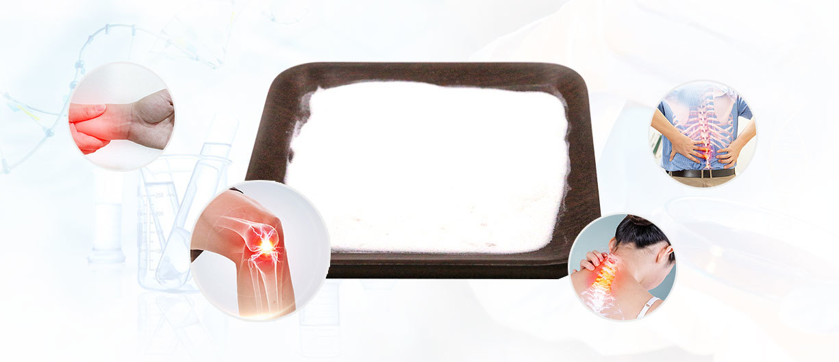 Gelatin Powder