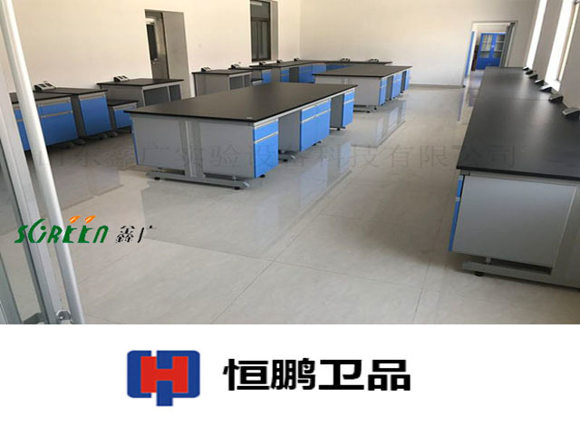 山東恒鵬衛(wèi)生用品有限公司實(shí)驗(yàn)室家具安裝現(xiàn)場
