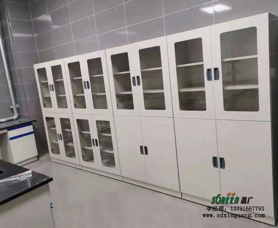 濰坊試劑柜 腐蝕藥品柜 器皿柜全鋼試劑柜供應(yīng)定制