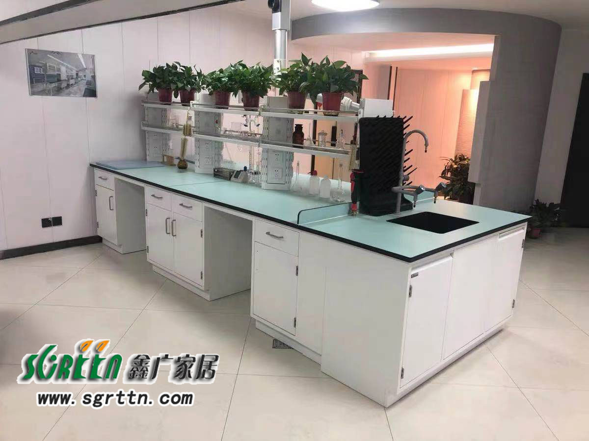 化驗室pp操作臺，實驗臺鋼木化學試驗桌，工作臺學校通風柜，全鋼試驗臺