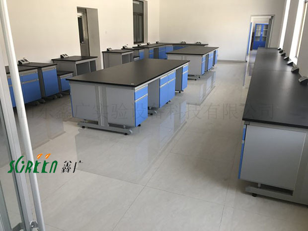 山東恒鵬衛(wèi)生用品有限公司實(shí)驗(yàn)室家具安裝現(xiàn)場