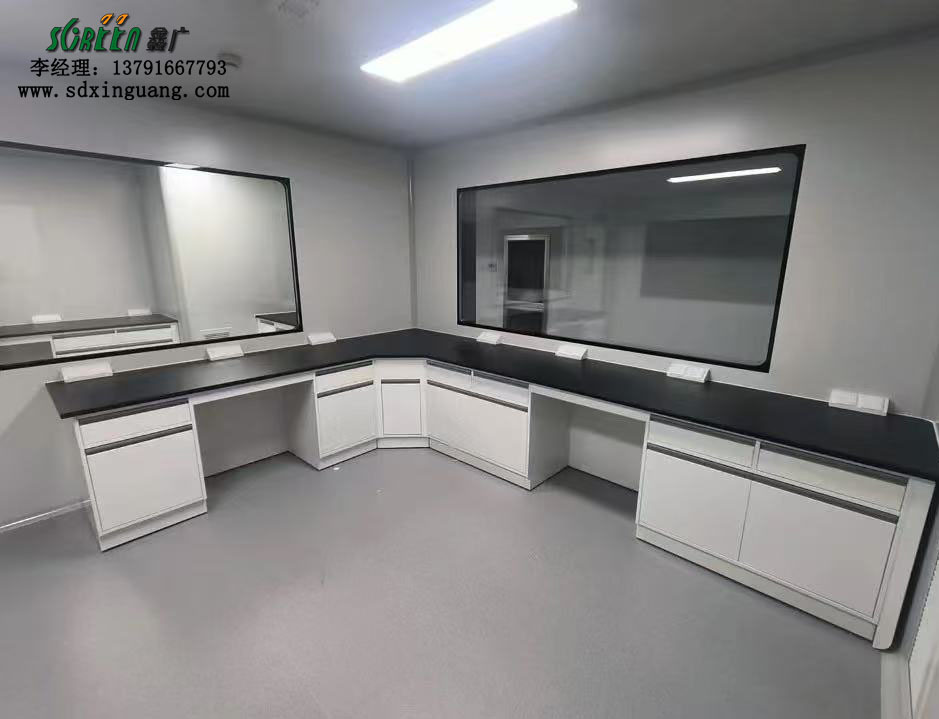 山東實(shí)驗(yàn)室家具 化驗(yàn)室試驗(yàn)臺(tái) 全鋼實(shí)驗(yàn)臺(tái)邊臺(tái)定制