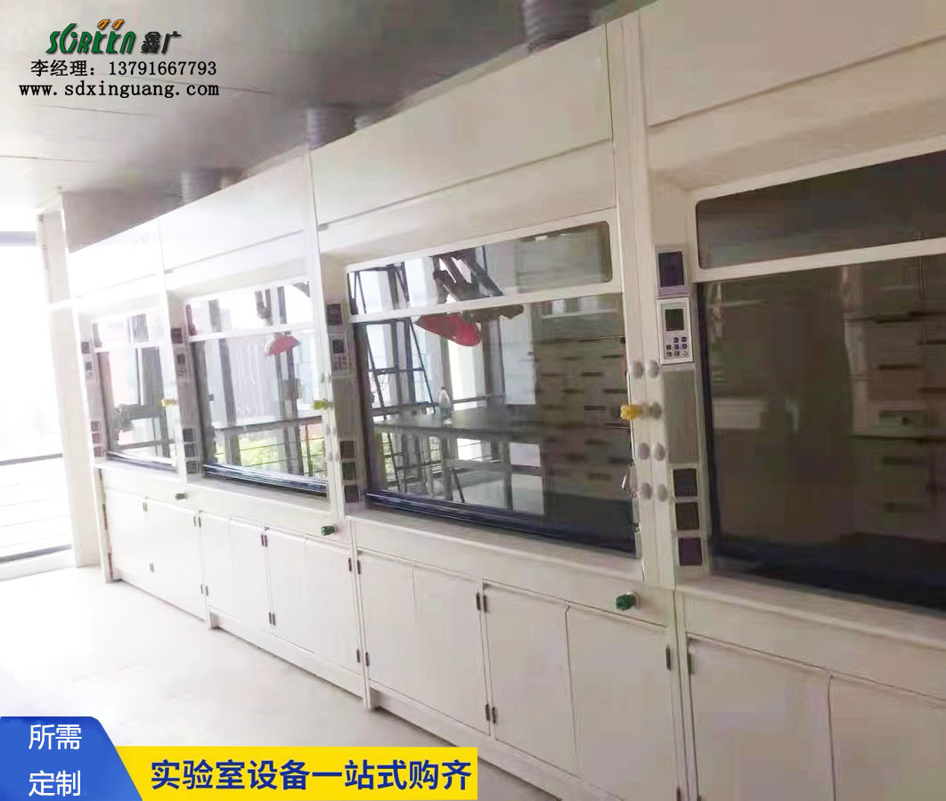 濰坊實(shí)驗(yàn)室家具 pp通風(fēng)柜 鋼木實(shí)驗(yàn)臺實(shí)驗(yàn)室設(shè)計