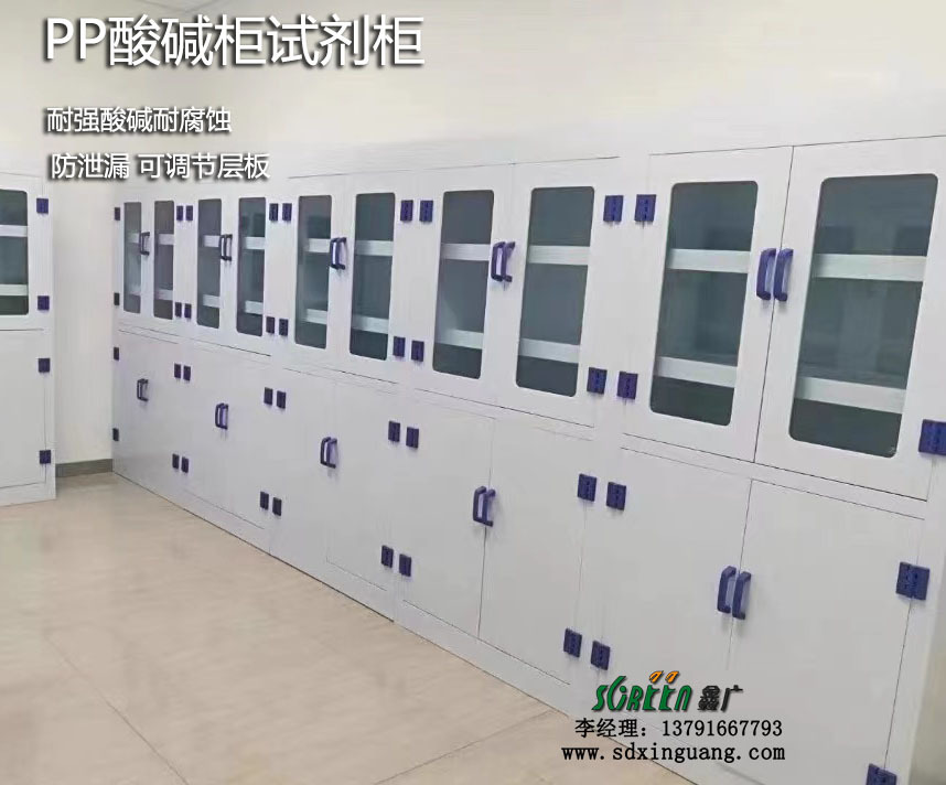 濰坊試劑柜 腐蝕藥品柜 器皿柜全鋼試劑柜供應(yīng)定制