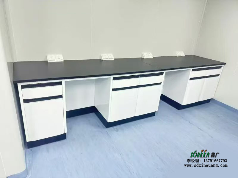 山東實驗室設備pp實驗室通風柜實驗臺廠家