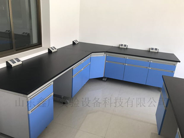 山東恒鵬衛(wèi)生用品有限公司實(shí)驗(yàn)室家具安裝現(xiàn)場